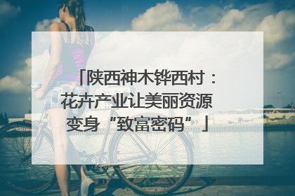 陕西神木铧西村：花卉产业让美丽资源变身“致富密码”