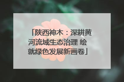 陕西神木：深耕黄河流域生态治理 绘就绿色发展新画卷