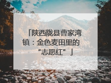 陕西陇县曹家湾镇：金色麦田里的“志愿红”