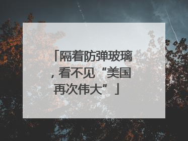 隔着防弹玻璃，看不见“美国再次伟大”