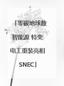 零碳地球数智能源 特变电工重装亮相SNEC