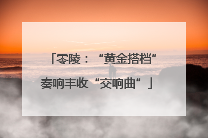 零陵：“黄金搭档”奏响丰收“交响曲”