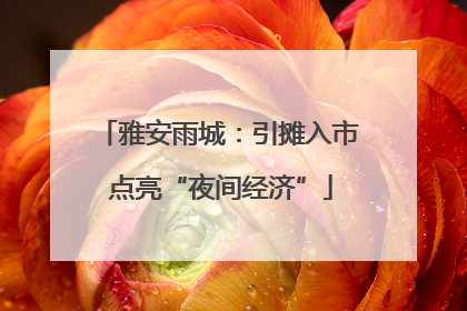 雅安雨城：引摊入市 点亮“夜间经济”