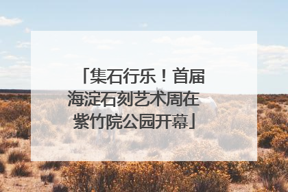 集石行乐！首届海淀石刻艺术周在紫竹院公园开幕