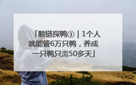 顺链探鸭③｜1个人就能管6万只鸭，养成一只鸭只需50多天