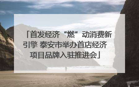 首发经济“燃”动消费新引擎 泰安市举办首店经济项目品牌入驻推进会