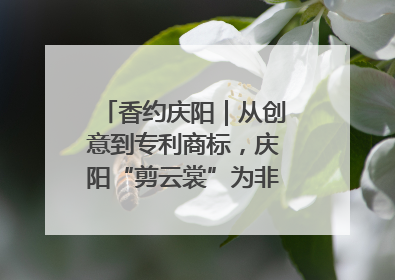 香约庆阳｜从创意到专利商标，庆阳“剪云裳”为非遗市场化探路