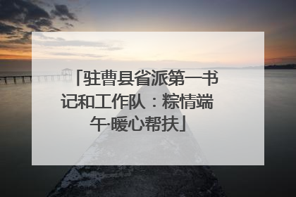 驻曹县省派第一书记和工作队：粽情端午·暖心帮扶