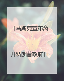 马斯克宣布离开特朗普政府