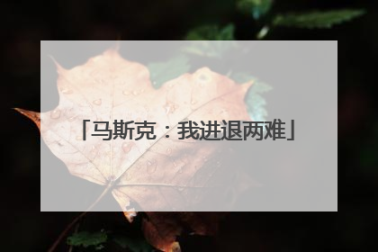 马斯克：我进退两难