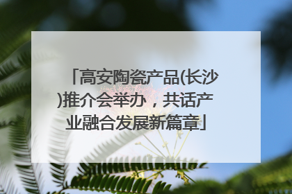 高安陶瓷产品(长沙)推介会举办，共话产业融合发展新篇章