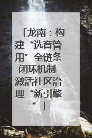 龙南：构建“选育管用”全链条闭环机制 激活社区治理“新引擎”