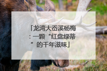 龙湾大岙溪杨梅：一颗“红盘绿蒂”的千年滋味