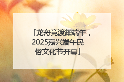 龙舟竞渡耀端午，2025嘉兴端午民俗文化节开幕