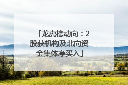龙虎榜动向：2股获机构及北向资金集体净买入