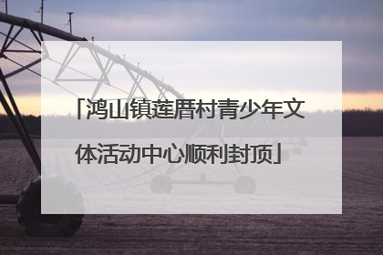鸿山镇莲厝村青少年文体活动中心顺利封顶