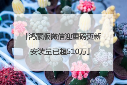 鸿蒙版微信迎重磅更新 安装量已超510万