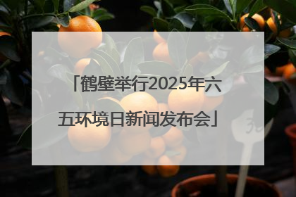 鹤壁举行2025年六五环境日新闻发布会