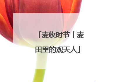 麦收时节丨麦田里的观天人