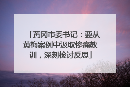黄冈市委书记：要从黄梅案例中汲取惨痛教训，深刻检讨反思