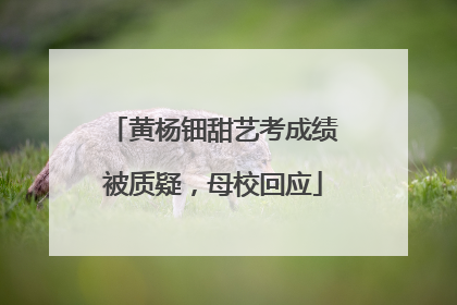 黄杨钿甜艺考成绩被质疑，母校回应