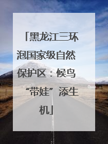 黑龙江三环泡国家级自然保护区：候鸟“带娃”添生机