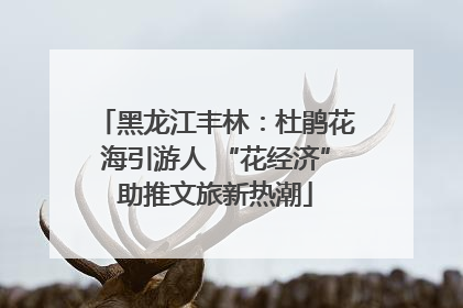 黑龙江丰林：杜鹃花海引游人 “花经济”助推文旅新热潮