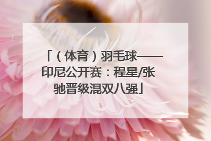 （体育）羽毛球——印尼公开赛：程星/张驰晋级混双八强