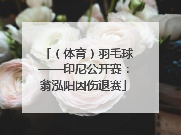 （体育）羽毛球——印尼公开赛：翁泓阳因伤退赛