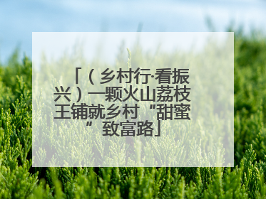 （乡村行·看振兴）一颗火山荔枝王铺就乡村“甜蜜”致富路