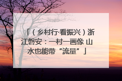 （乡村行·看振兴）浙江磐安：一村一画像 山水也能带“流量”