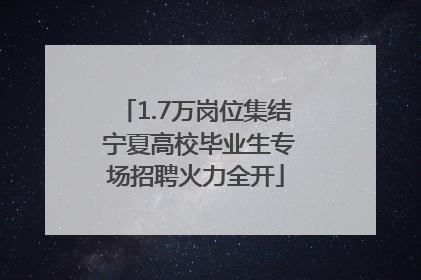 1.7万岗位集结 宁夏高校毕业生专场招聘火力全开