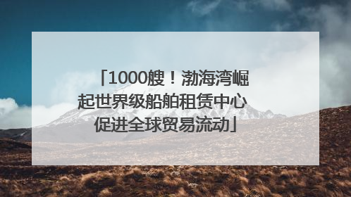1000艘！渤海湾崛起世界级船舶租赁中心 促进全球贸易流动