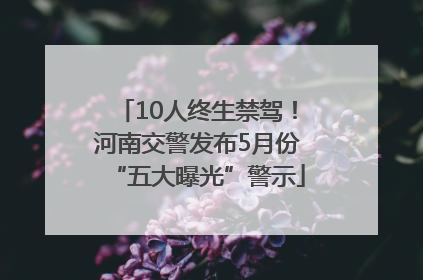 10人终生禁驾！河南交警发布5月份“五大曝光”警示