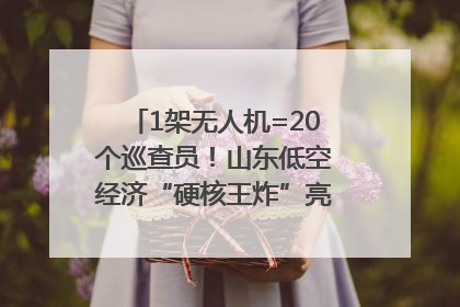 1架无人机=20个巡查员！山东低空经济“硬核王炸”亮相青岛，下一个万亿赛道藏在这里