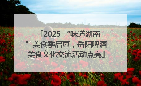 2025 “味道湖南”美食季启幕，岳阳啤酒美食文化交流活动点亮