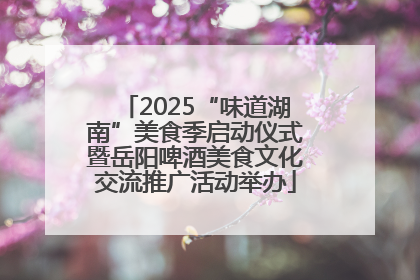 2025“味道湖南”美食季启动仪式暨岳阳啤酒美食文化交流推广活动举办