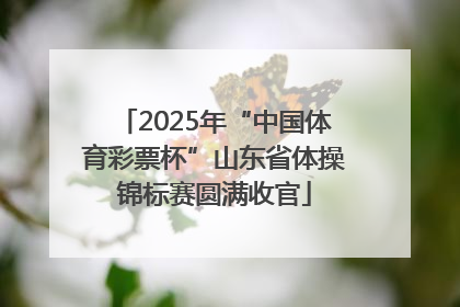 2025年“中国体育彩票杯”山东省体操锦标赛圆满收官