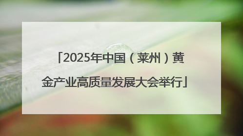 2025年中国（莱州）黄金产业高质量发展大会举行