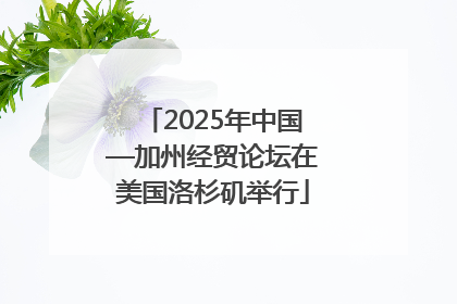 2025年中国—加州经贸论坛在美国洛杉矶举行