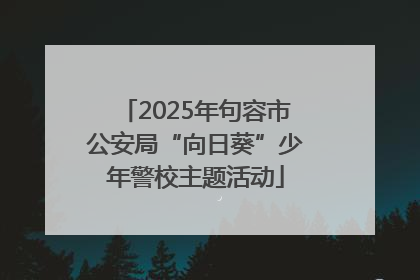 2025年句容市公安局“向日葵”少年警校主题活动
