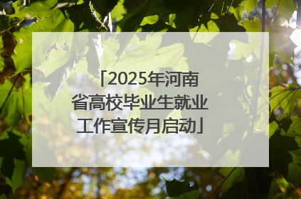 2025年河南省高校毕业生就业工作宣传月启动