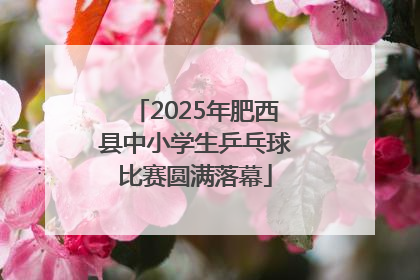 2025年肥西县中小学生乒乓球比赛圆满落幕