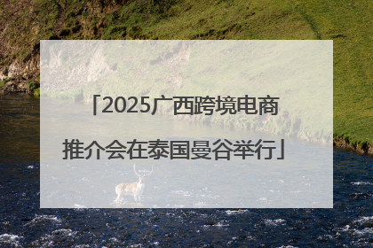 2025广西跨境电商推介会在泰国曼谷举行