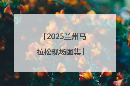 2025兰州马拉松现场图集