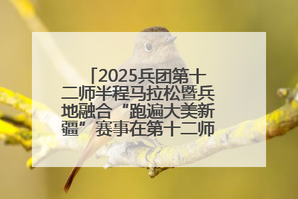 2025兵团第十二师半程马拉松暨兵地融合“跑遍大美新疆”赛事在第十二师市民广场鸣枪开跑