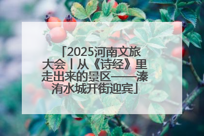 2025河南文旅大会丨从《诗经》里走出来的景区——溱洧水城开街迎宾
