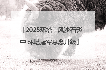 2025环塔｜风沙石影中 环塔冠军悬念升级
