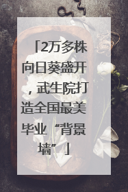 2万多株向日葵盛开，武生院打造全国最美毕业“背景墙”