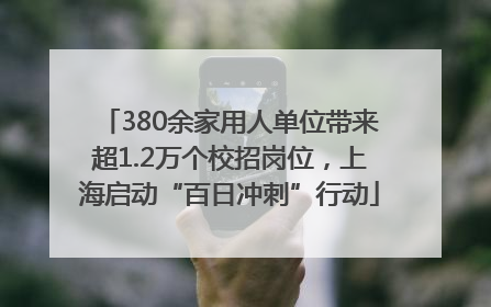 380余家用人单位带来超1.2万个校招岗位，上海启动“百日冲刺”行动